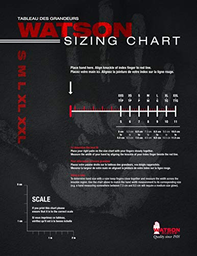 Grease Monkey Standard-Duty 8-mil Puncture-Resistant Nitrile Gloves, Powder-Free, Assorted Sizes, 50-pk (5555PF)